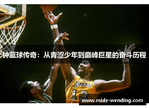钟篮球传奇：从青涩少年到巅峰巨星的奋斗历程